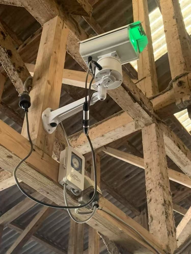 Laser Bird Deterrent Light Laser Bird Deterrent Light
