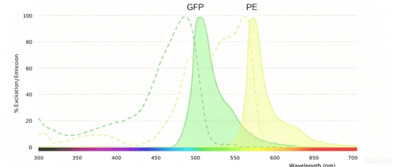 Flow Cytometry Laser
