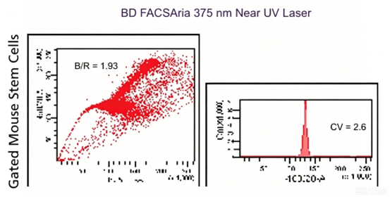 Flow Cytometry Laser