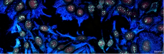 Flow Cytometry Laser
